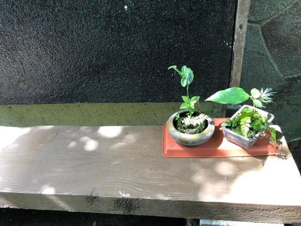 Chambre Dhote Tatami Suwa  Exteriör bild